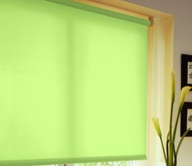 Rouleau vert pastel, aoû 2010